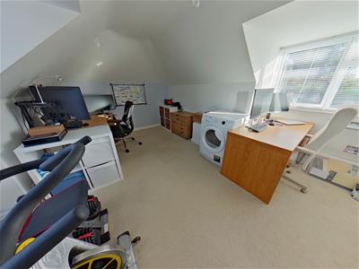 Picture 14